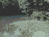  Dieu créa la nature  Bienvenue