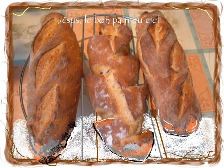 Jésus le bon pain du ciel  bonjour Bienvenue