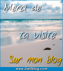         merci de votre visite