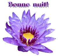                               BONNE   NUIT A  DEMAIN     DOKRISS